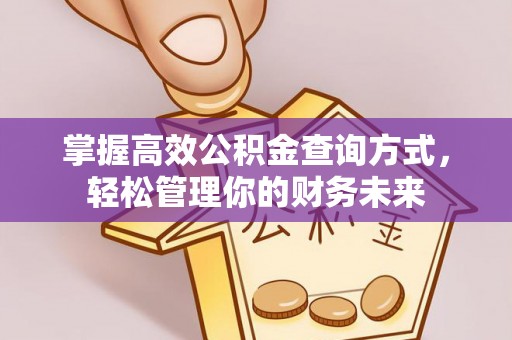 安源掌握高效公积金查询方式，轻松管理你的财务未来