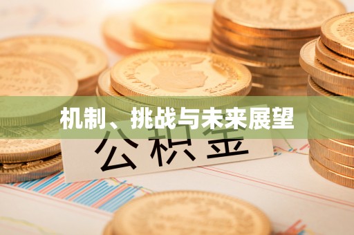 安源机制、挑战与未来展望